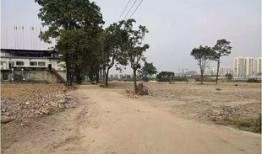 东莞凤岗爆料事件最新,揭秘背后真相与争议焦点